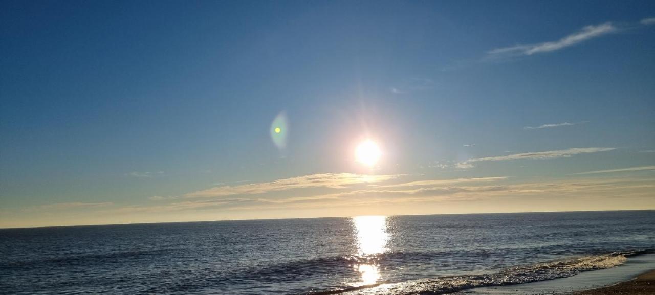 Twin Palms Guesthouse Great Yarmouth Dış mekan fotoğraf
