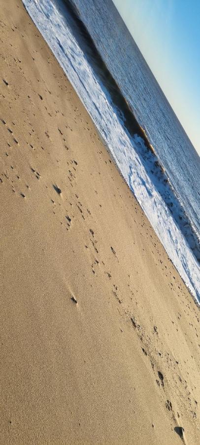 Twin Palms Guesthouse Great Yarmouth Dış mekan fotoğraf
